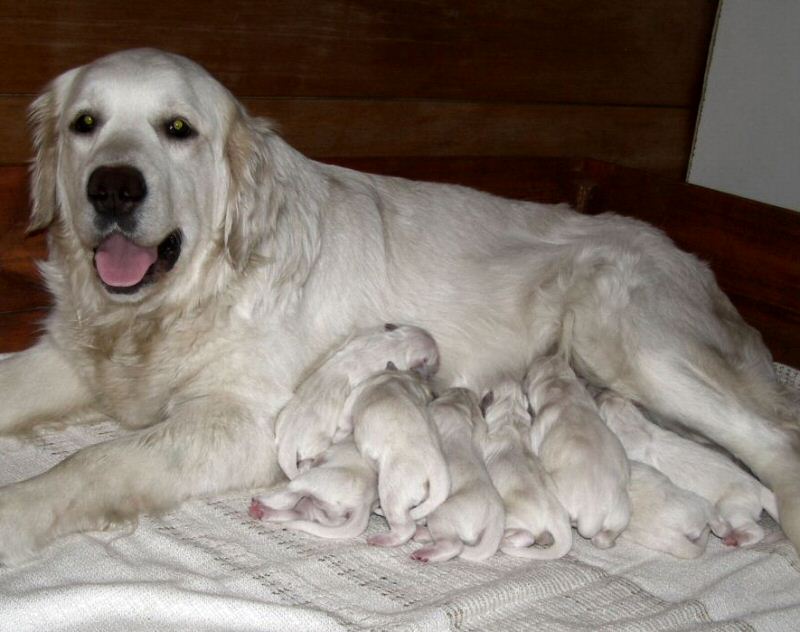 Mamytė Maratėja džiaugiasi sulaukusi savo pirmųjų vaikučių.